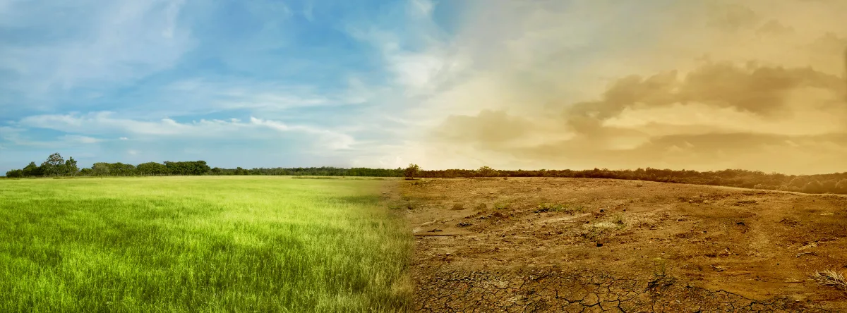 Cambio climático