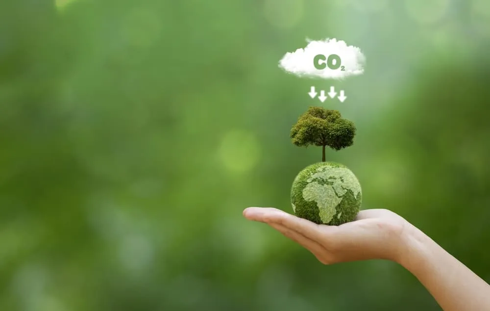 peaje fiscal al co2
